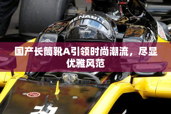 国产长筒靴A引领时尚潮流，尽显优雅风范