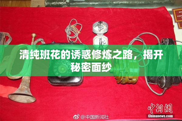 清纯班花的诱惑修炼之路，揭开秘密面纱