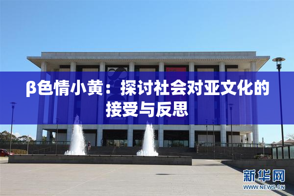 β色情小黄：探讨社会对亚文化的接受与反思