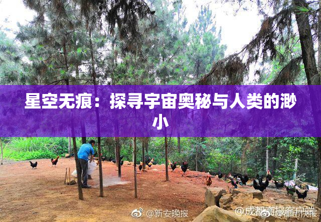 星空无痕：探寻宇宙奥秘与人类的渺小