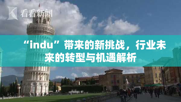 “indu”带来的新挑战，行业未来的转型与机遇解析