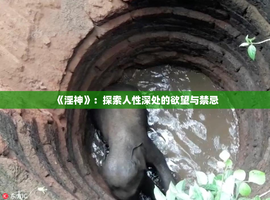 《淫神》：探索人性深处的欲望与禁忌