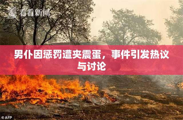 男仆因惩罚遭夹震蛋，事件引发热议与讨论