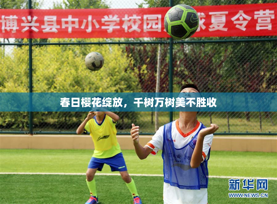春日樱花绽放，千树万树美不胜收