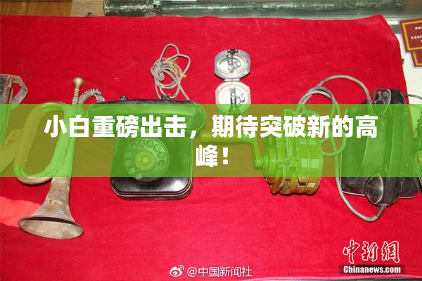 小白重磅出击，期待突破新的高峰！