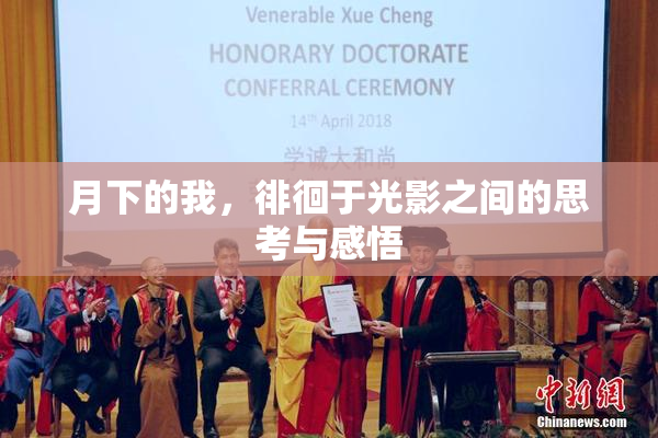 月下的我，徘徊于光影之间的思考与感悟