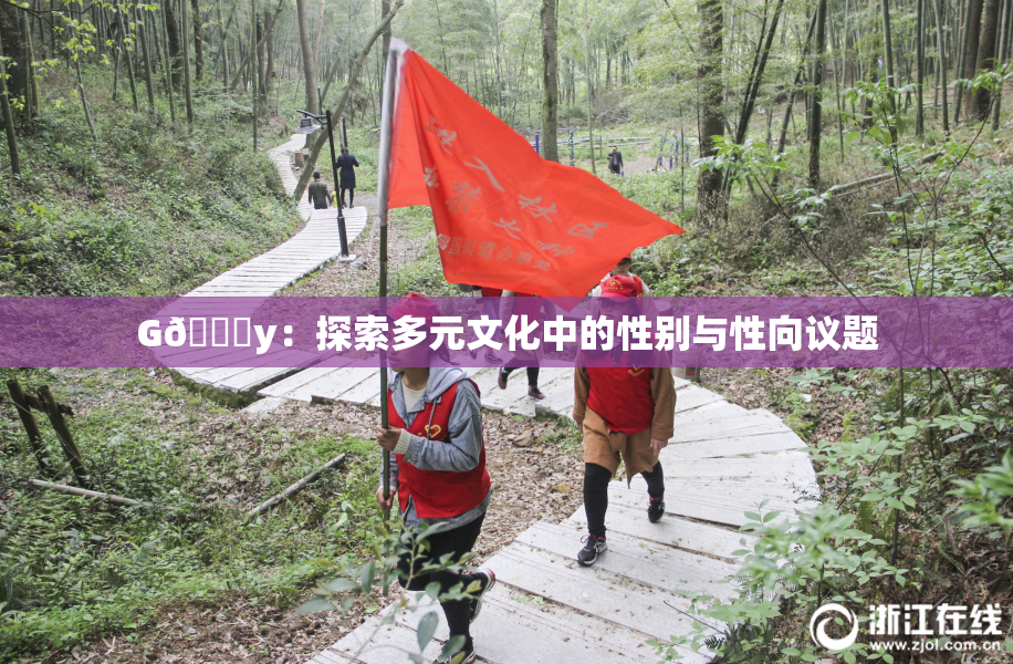 G🈚y：探索多元文化中的性别与性向议题