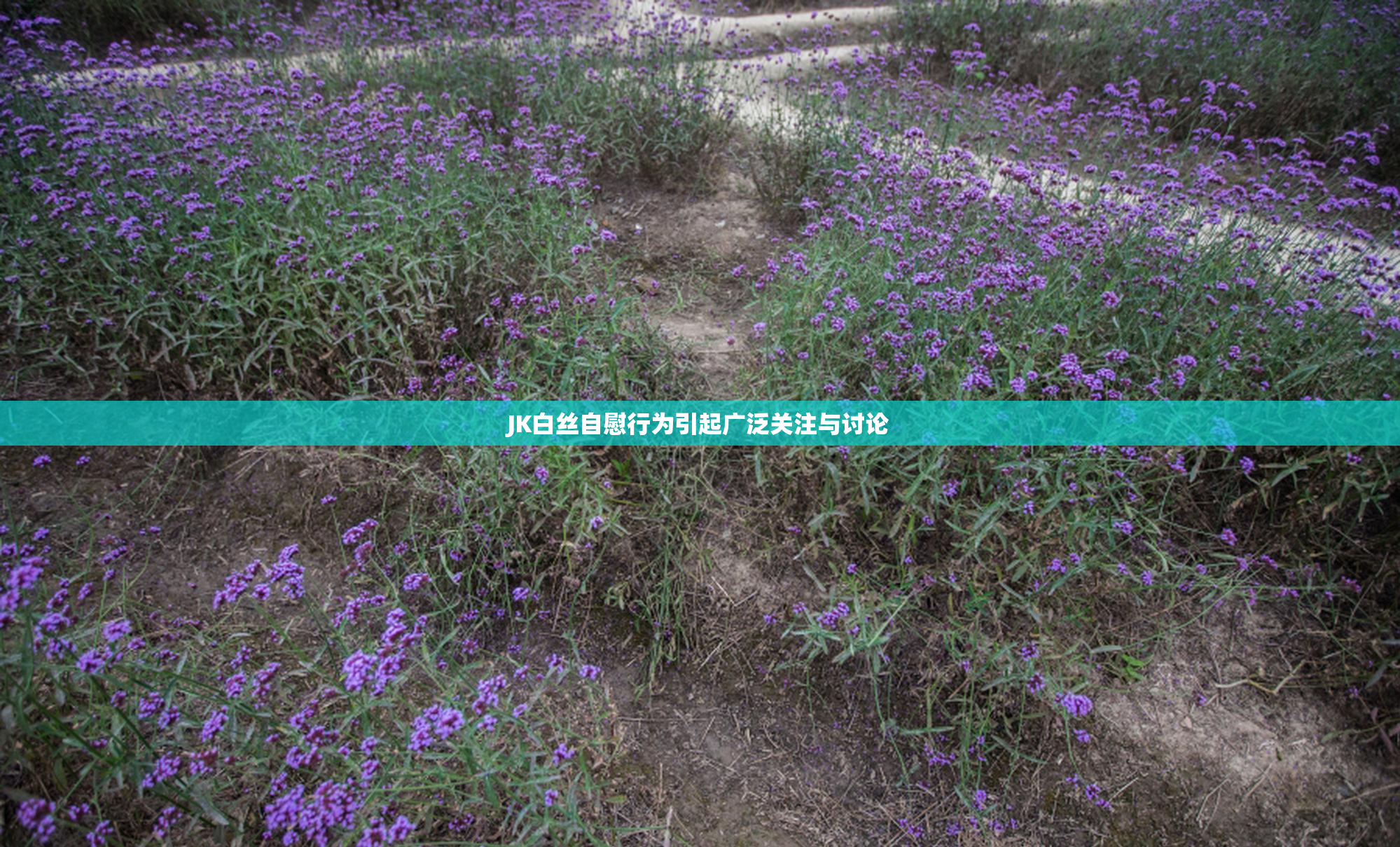 JK白丝自慰行为引起广泛关注与讨论