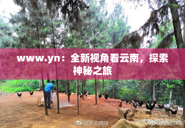 www.yn：全新视角看云南，探索神秘之旅