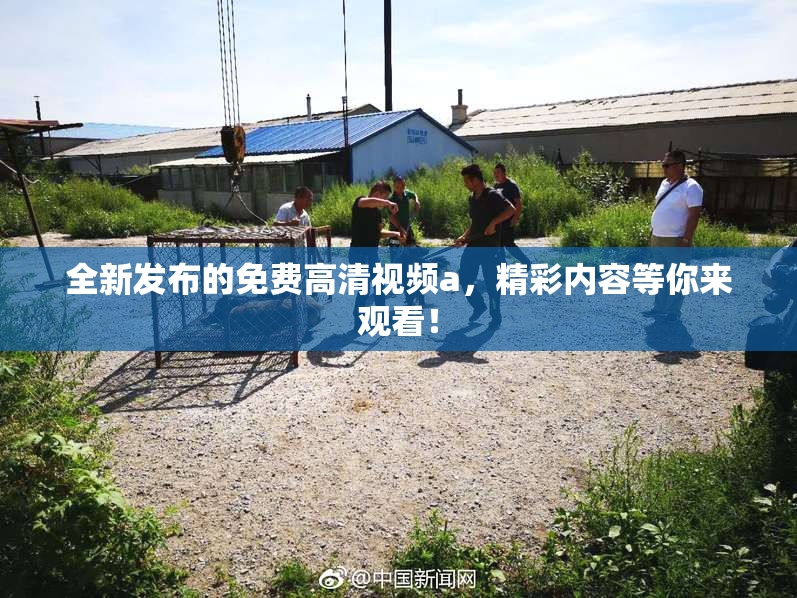 全新发布的免费高清视频a，精彩内容等你来观看！