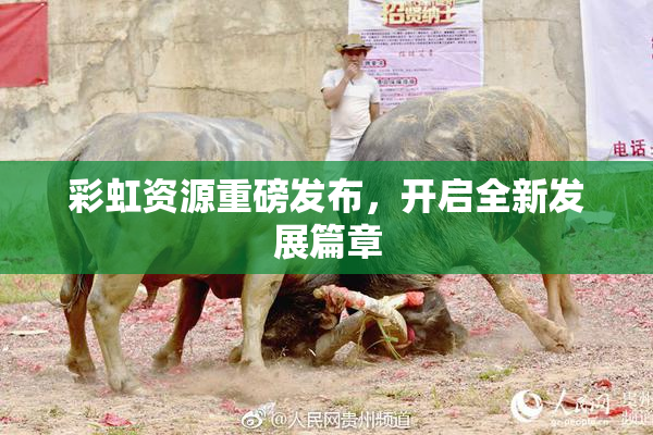 彩虹资源重磅发布，开启全新发展篇章