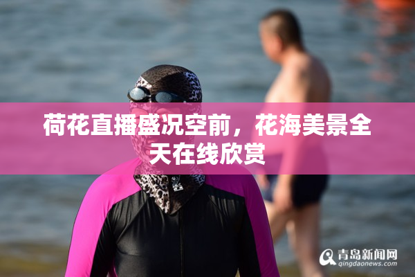 荷花直播盛况空前，花海美景全天在线欣赏