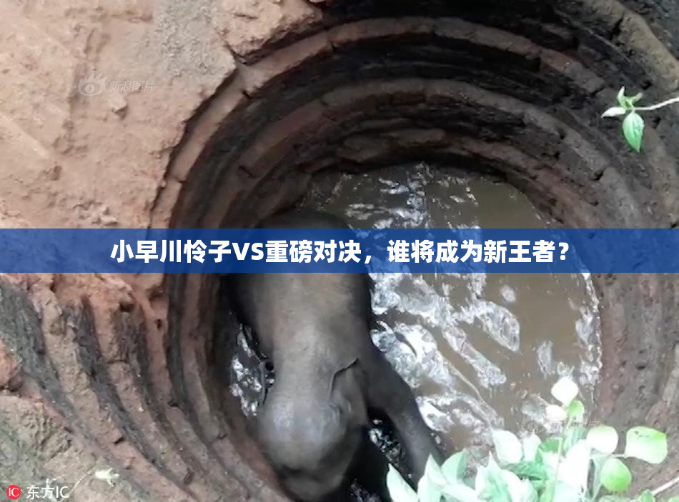 小早川怜子VS重磅对决，谁将成为新王者？