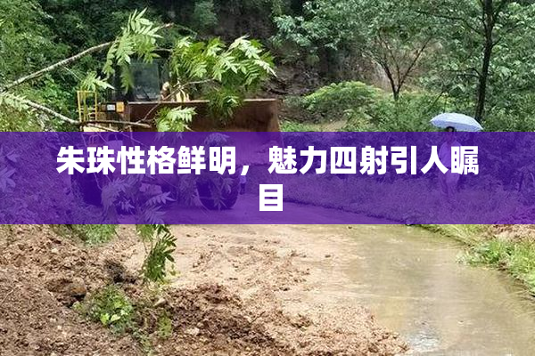 朱珠性格鲜明，魅力四射引人瞩目