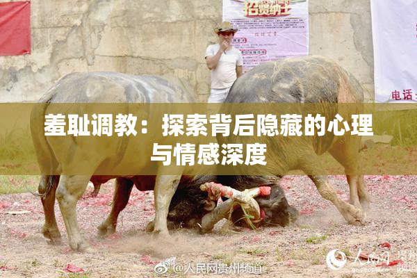 羞耻调教：探索背后隐藏的心理与情感深度