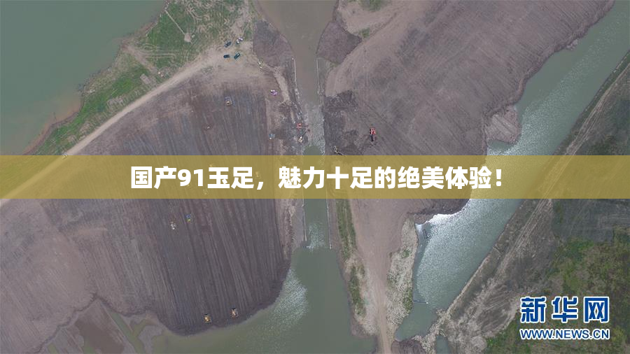 国产91玉足，魅力十足的绝美体验！