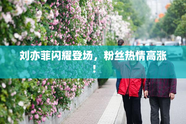 刘亦菲闪耀登场，粉丝热情高涨！