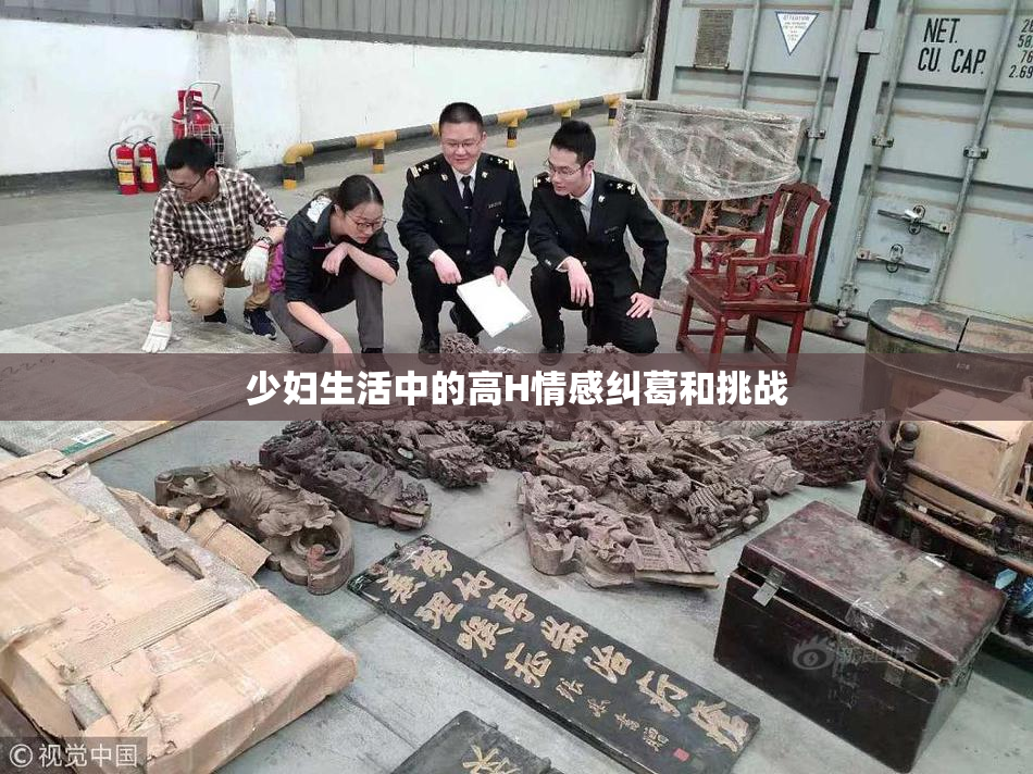 少妇生活中的高H情感纠葛和挑战