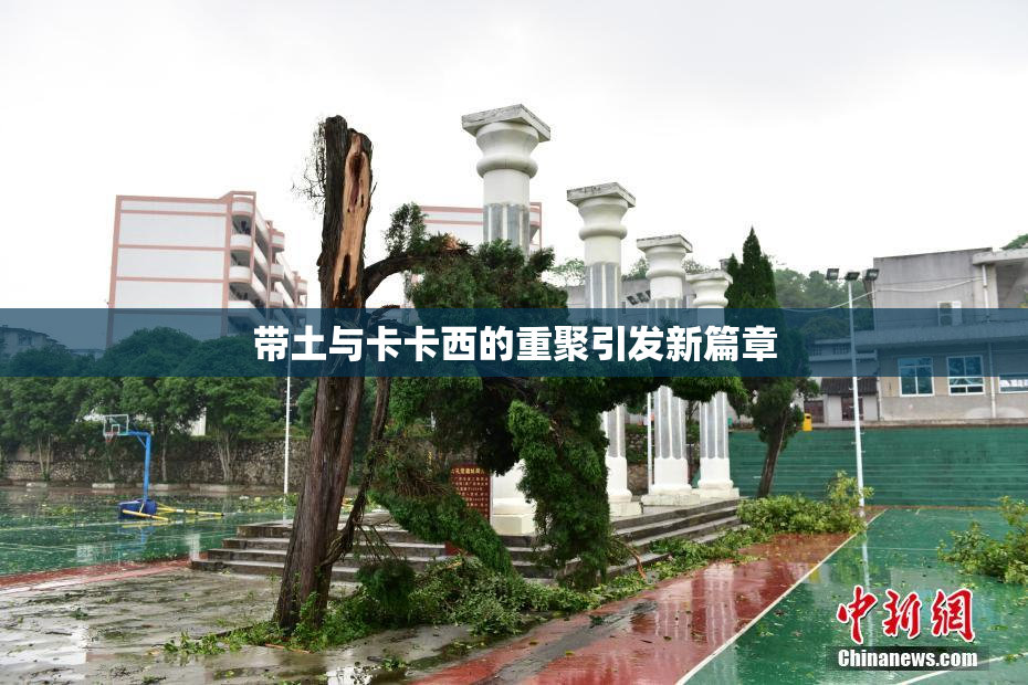 带土与卡卡西的重聚引发新篇章
