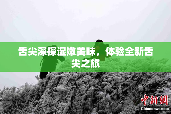 舌尖深探湿嫩美味，体验全新舌尖之旅