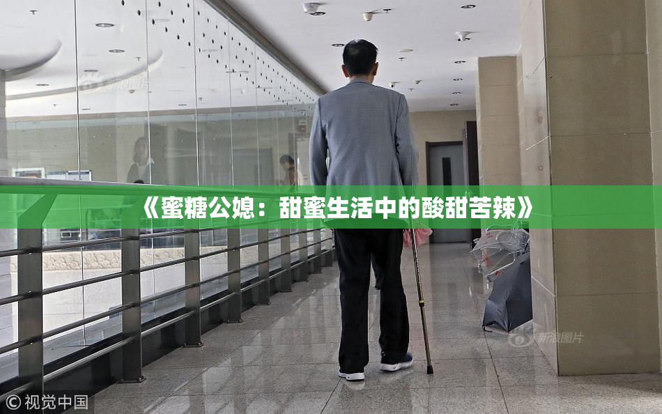 《蜜糖公媳：甜蜜生活中的酸甜苦辣》