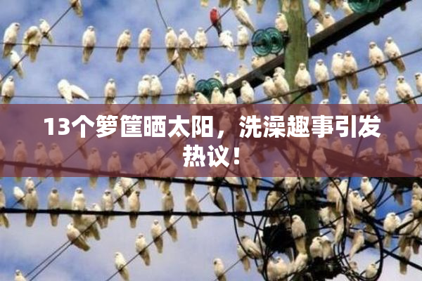 13个箩筐晒太阳，洗澡趣事引发热议！
