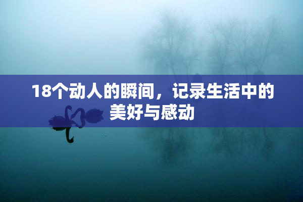 18个动人的瞬间，记录生活中的美好与感动