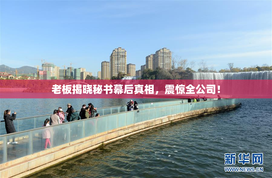 老板揭晓秘书幕后真相，震惊全公司！