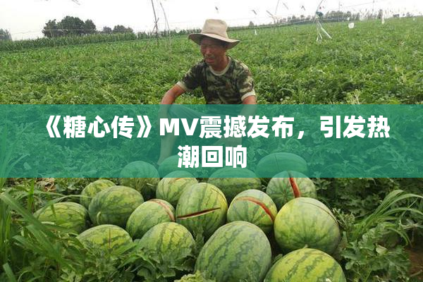 《糖心传》MV震撼发布，引发热潮回响