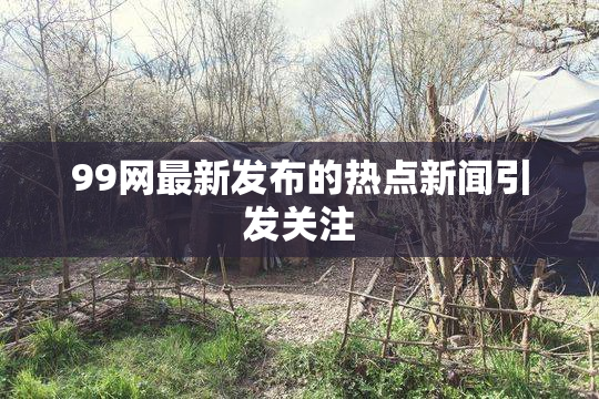 99网最新发布的热点新闻引发关注
