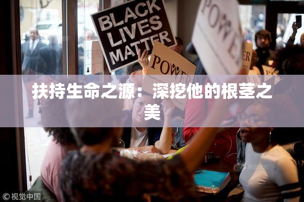 扶持生命之源：深挖他的根茎之美
