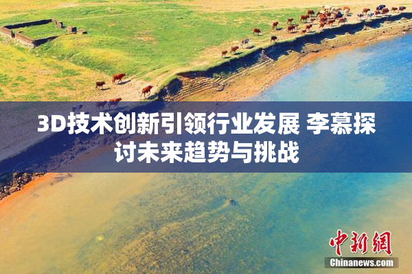3D技术创新引领行业发展 李慕探讨未来趋势与挑战
