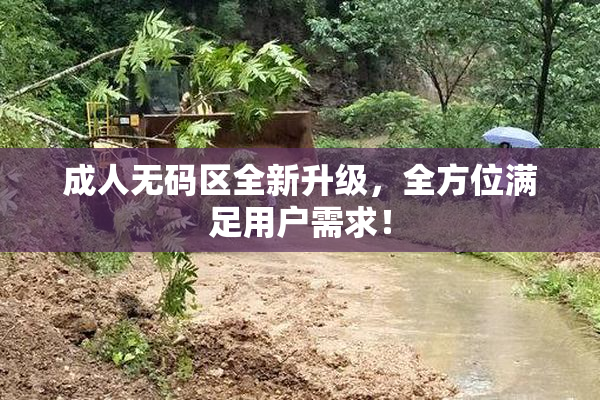 成人无码区全新升级，全方位满足用户需求！