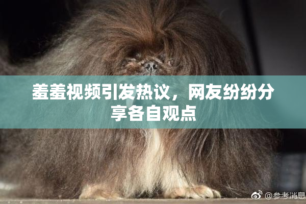 羞羞视频引发热议，网友纷纷分享各自观点