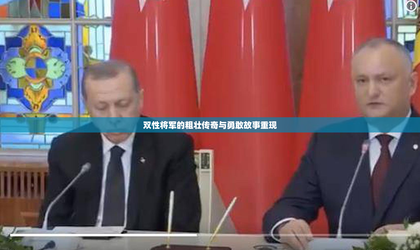 双性将军的粗壮传奇与勇敢故事重现