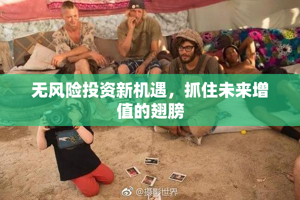 无风险投资新机遇，抓住未来增值的翅膀