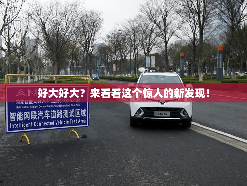 好大好大？来看看这个惊人的新发现！