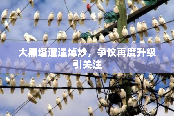 大黑塔遭遇焯炒，争议再度升级引关注