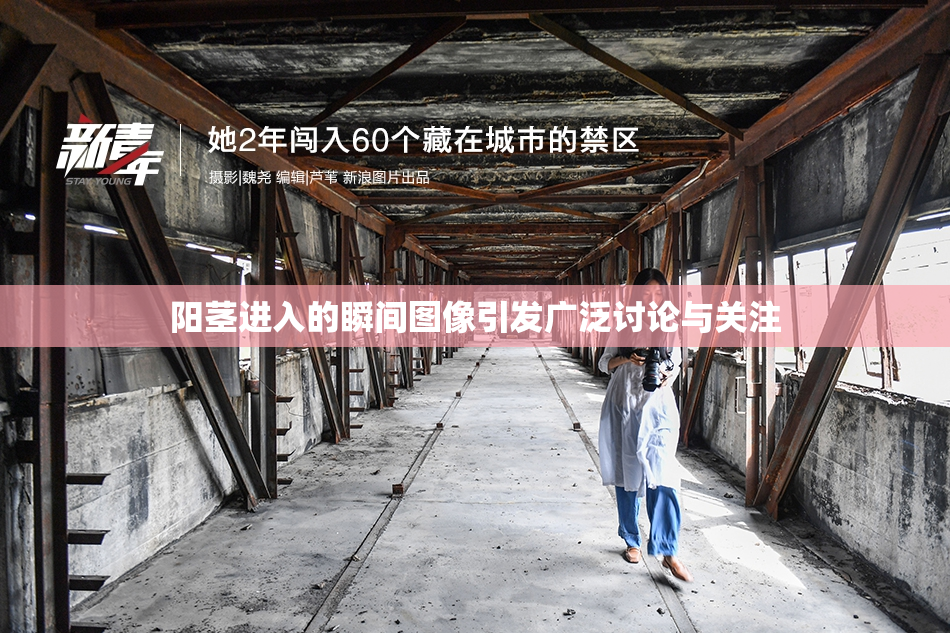 阳茎进入的瞬间图像引发广泛讨论与关注