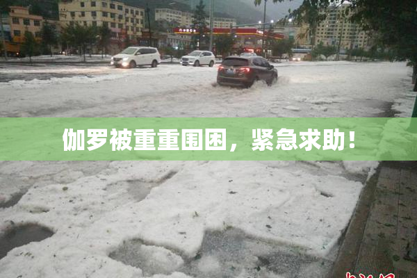伽罗被重重围困，紧急求助！