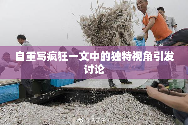 自重写疯狂一文中的独特视角引发讨论