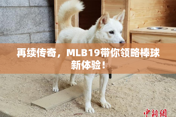 再续传奇，MLB19带你领略棒球新体验！