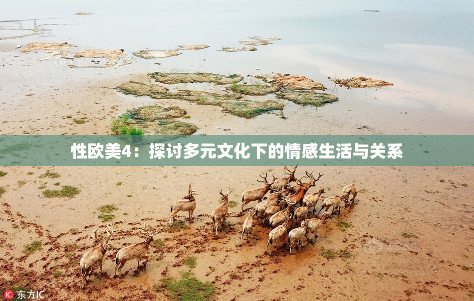 性欧美4：探讨多元文化下的情感生活与关系