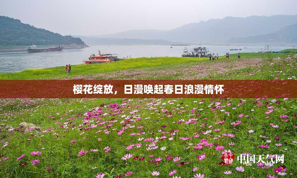 樱花绽放，日漫唤起春日浪漫情怀