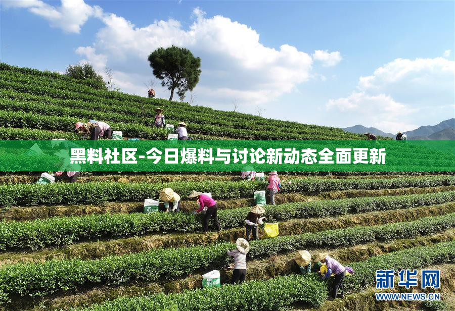 黑料社区-今日爆料与讨论新动态全面更新
