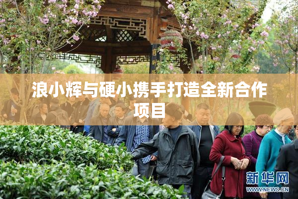 浪小辉与硬小携手打造全新合作项目