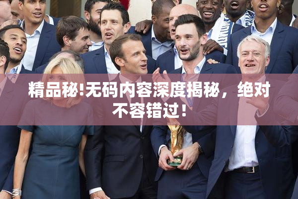 精品秘!无码内容深度揭秘，绝对不容错过！