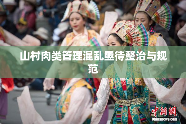 山村肉类管理混乱亟待整治与规范