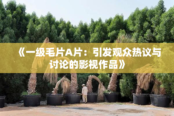 《一级毛片A片：引发观众热议与讨论的影视作品》