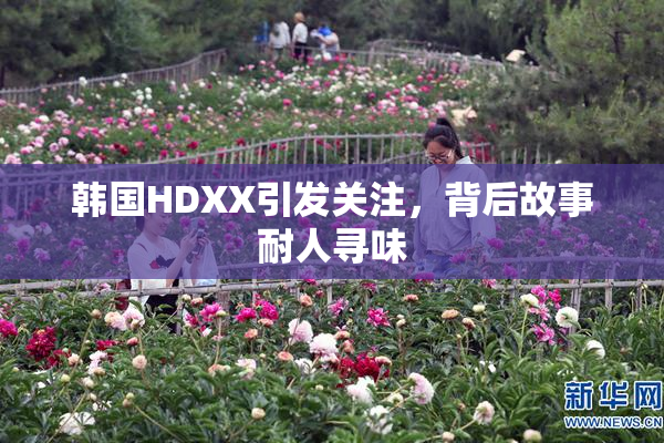 韩国HDXX引发关注，背后故事耐人寻味